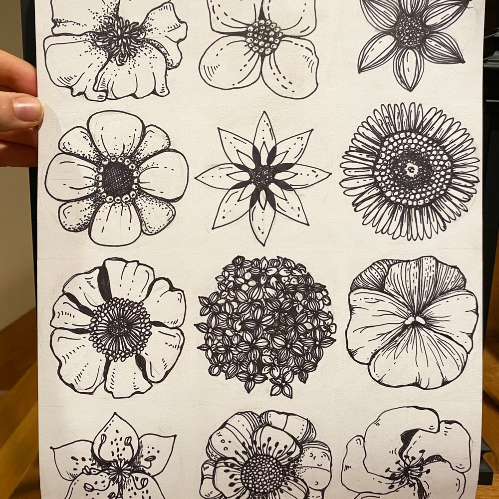 Flower Study Print